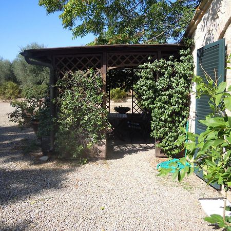 Fontemaggio Apartment Colle Val D'Elsa Exterior photo